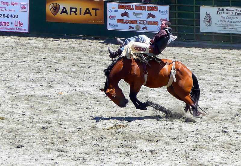 Driscoll Rodeo 7-24-2010 1 edit.JPG