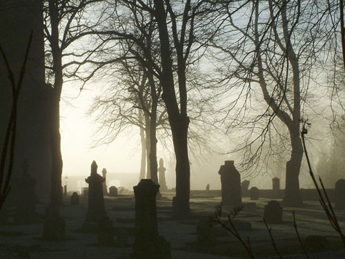 spooky-graveyard--large-msg-119798757748.jpg