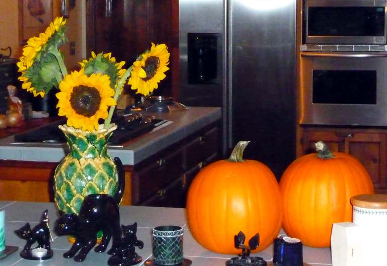 Sunflowers 10-21-2010.JPG