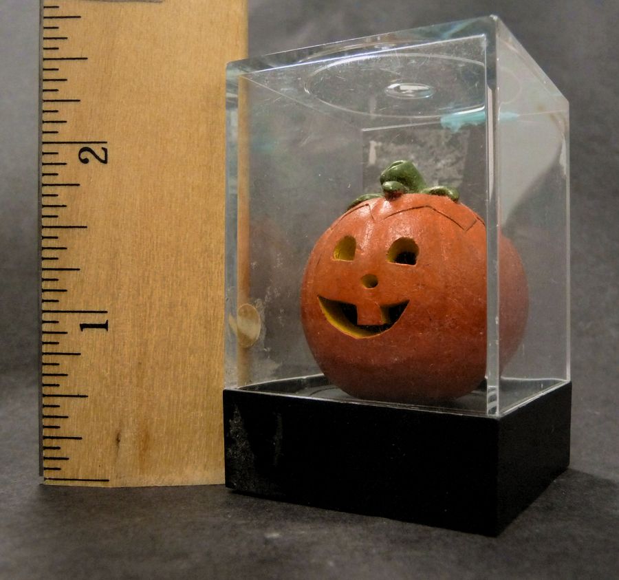 Mini Pumpkin 1.JPG