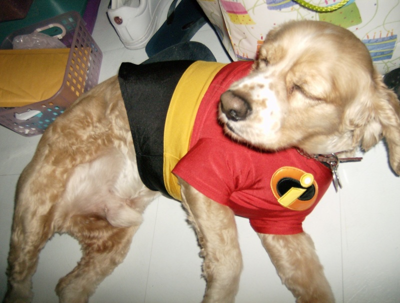 clifford1.jpg