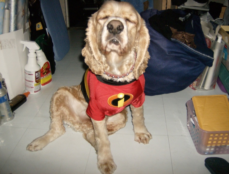clifford2.jpg