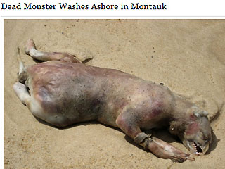 0_61_montauk_monster_grab.jpg