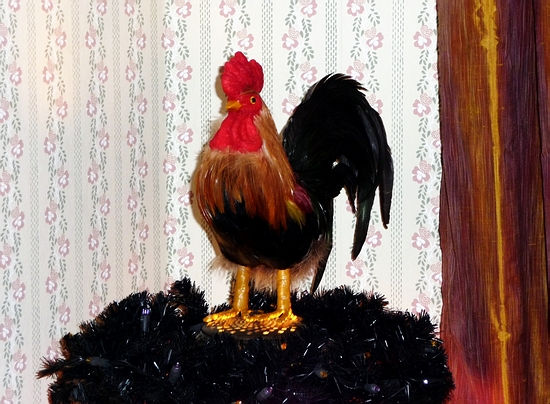 Rooster 2009 3.JPG