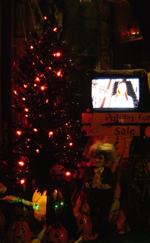 DSC02220--2.JPG