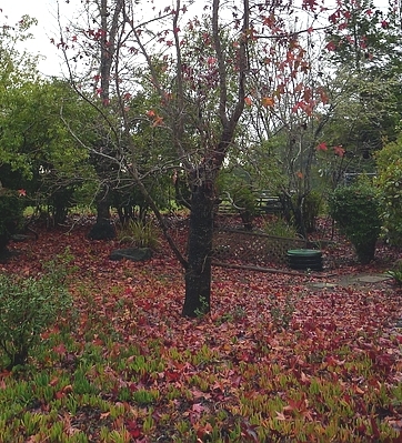 P1030329 edit.JPG